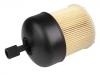 Filtre carburant Fuel Filter:16403-00QAC